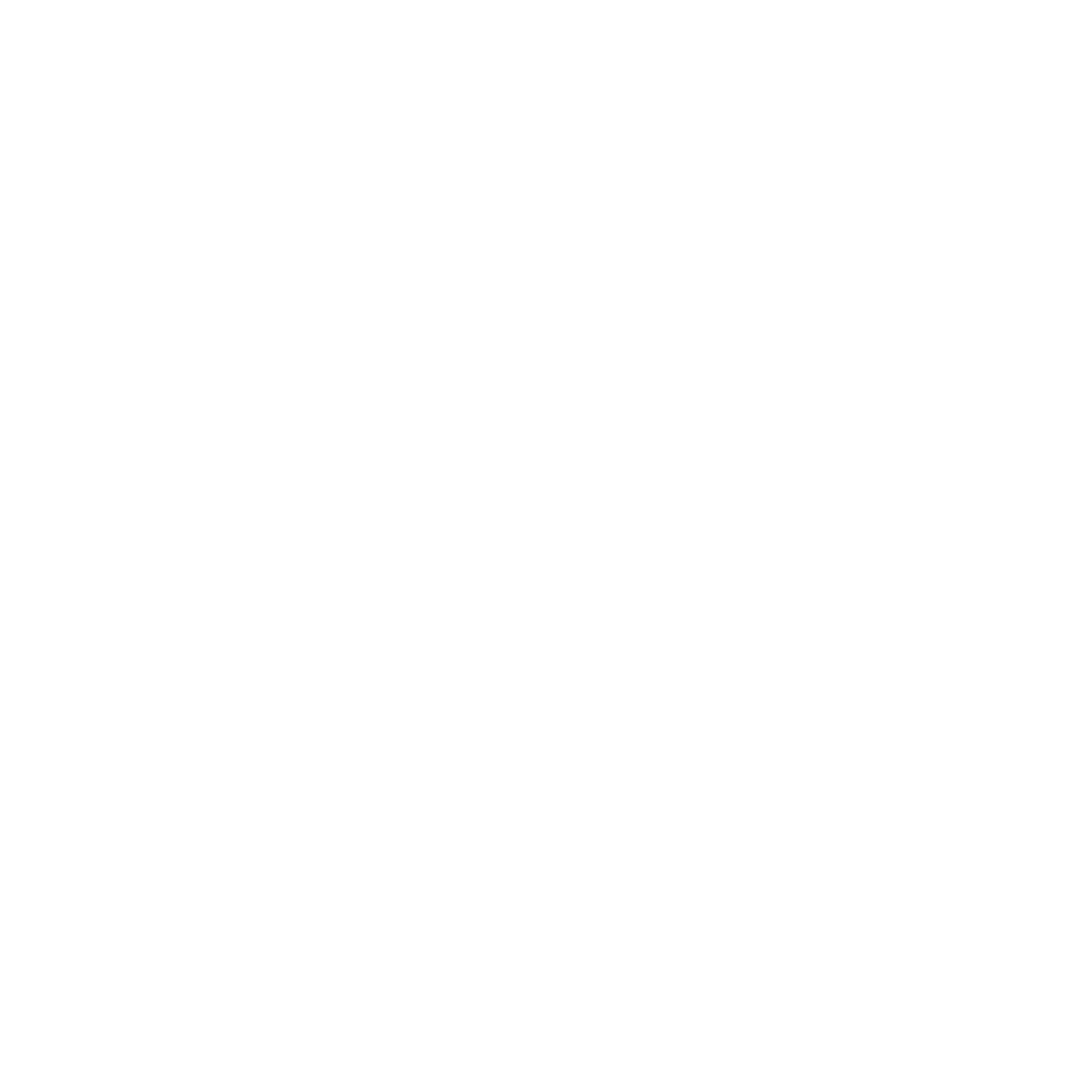 Salty Logo